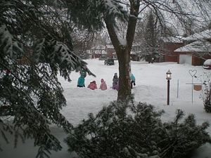 snowkids.jpg